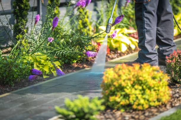 Best Animal Enclosure Cleaning  in Westchester, FL