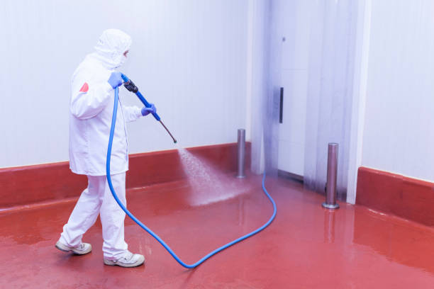 Best Driveway Pressure Washing  in Westchester, FL